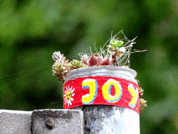 JoY-Garten