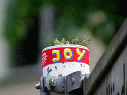 JoY-Garden