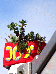 JoY-Garden