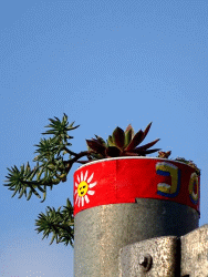 JoY-Garten