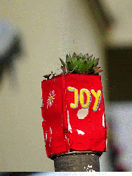 JoY-Garten