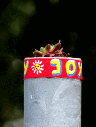 JoY-Garden
