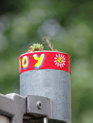 JoY-Garden