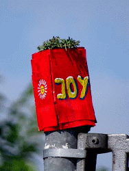 JoY-Garden