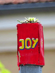 JoY-Garden