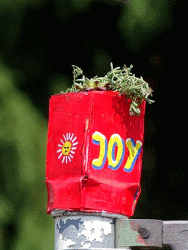 JoY-Garden