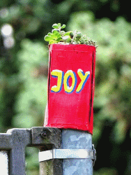 JoY-Garden