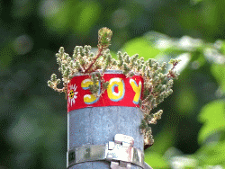 JoY-Garden