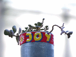 JoY-Garten