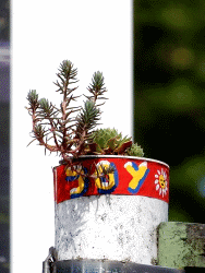 JoY-Garden