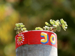 JoY-Garden