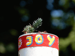 JoY-Garden