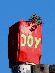 JoY-Garden
