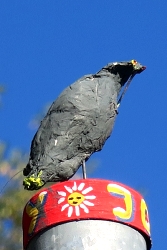 Der frühe Vogel frisst den Wurm