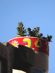 JoY-Garten