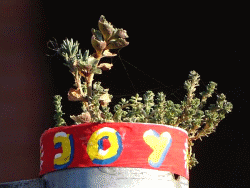 JoY-Garten