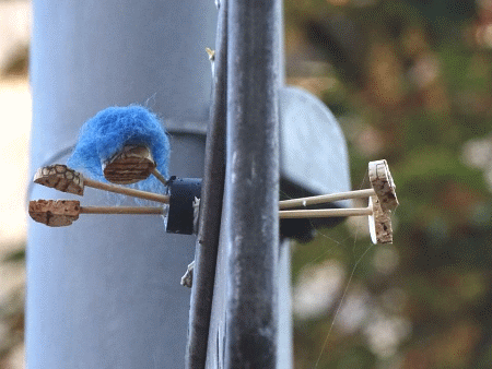Street-Yogi: Blue
