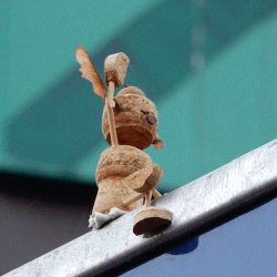 Street-Yogi: Lässig