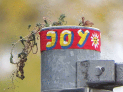 JoY-Garden