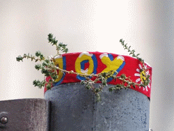 JoY-Garden