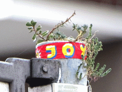 JoY-Garden