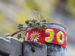 JoY-Garden