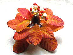 Zauberhaft