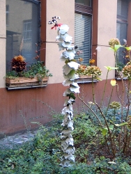 Mixed Media: Silberpappel