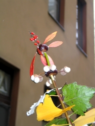Mixed Media: Gingo und Silberpappel