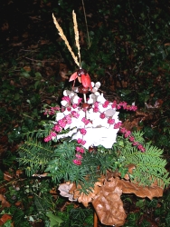 Weihnachtsgruß