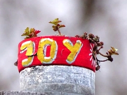 JoY-Garten