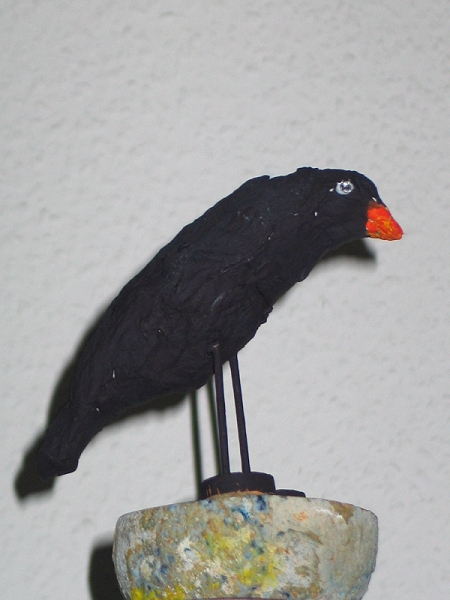 Die Amsel