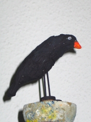 Die Amsel