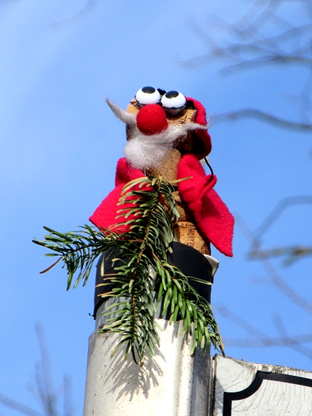 Nikolaus