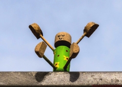 Foto des Tages im 'Berliner Fenster'