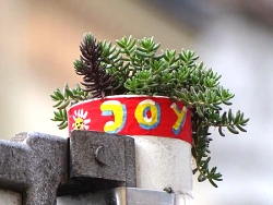 JoY-Garten