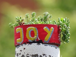 JoY-Garten