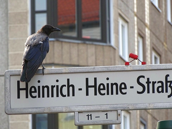 Liebe geht durch den Magen