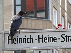 Liebe geht durch den Magen