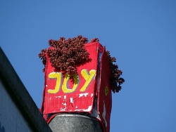 JoY-Garten