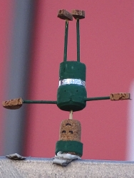 Handstand mit Hut und Gürtel