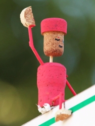 Hallo in Rosa