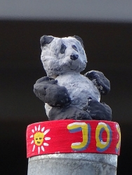 Pandabär