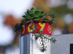 JoY-Garten