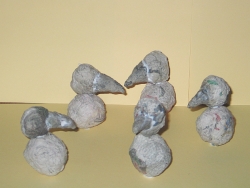 Vogelbrut