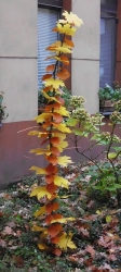 Blättermix