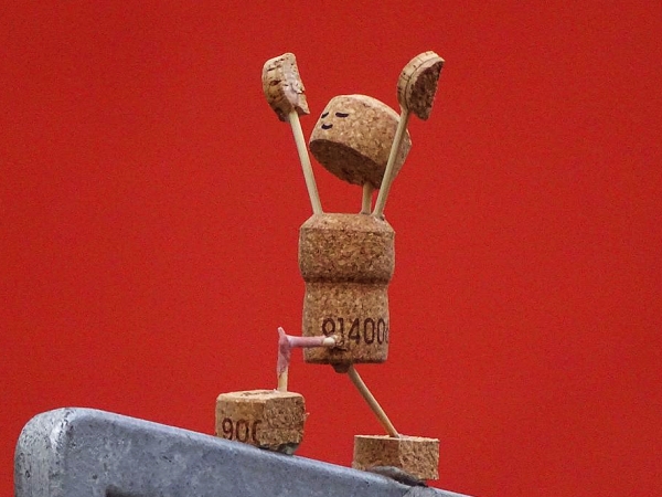 Yoga unterm Weihnachtsstern