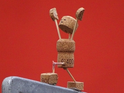 Yoga unterm Weihnachtsstern