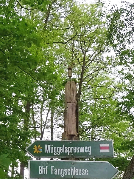 Ein farbloser Samstag