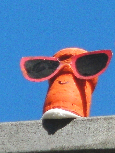 Peter Pink in Action